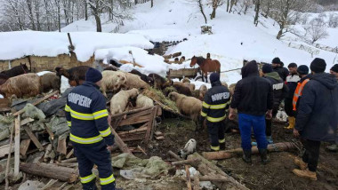 whatsapp-image-2026-02-18-at-15-51-32