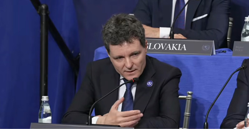 Nicusor Dan Consiliul pentru Pace