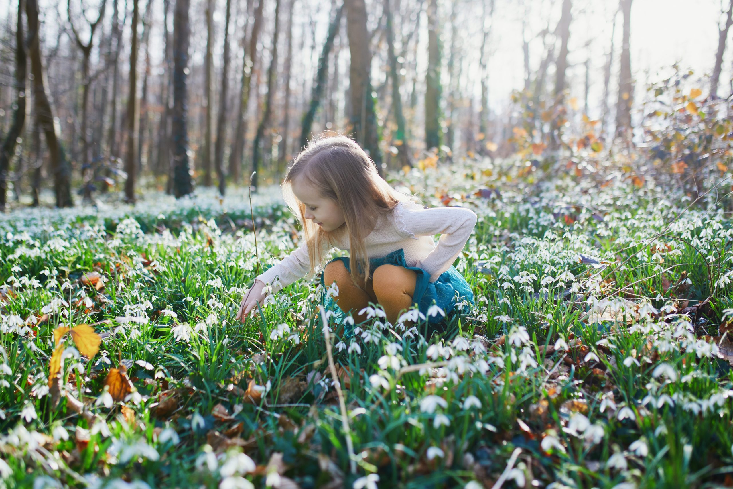 Cum va fi vremea până pe 9 martie. Prognoza meteo actualizată pentru următoarele patru săptămâni