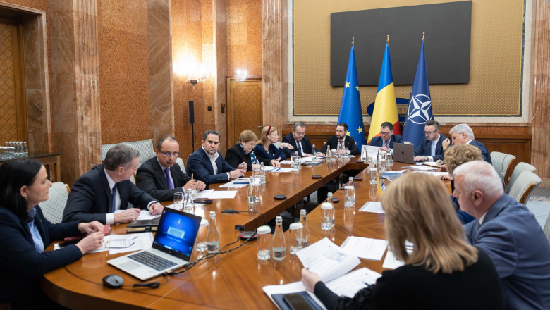 foto comitet interministerial oana gheorghiu