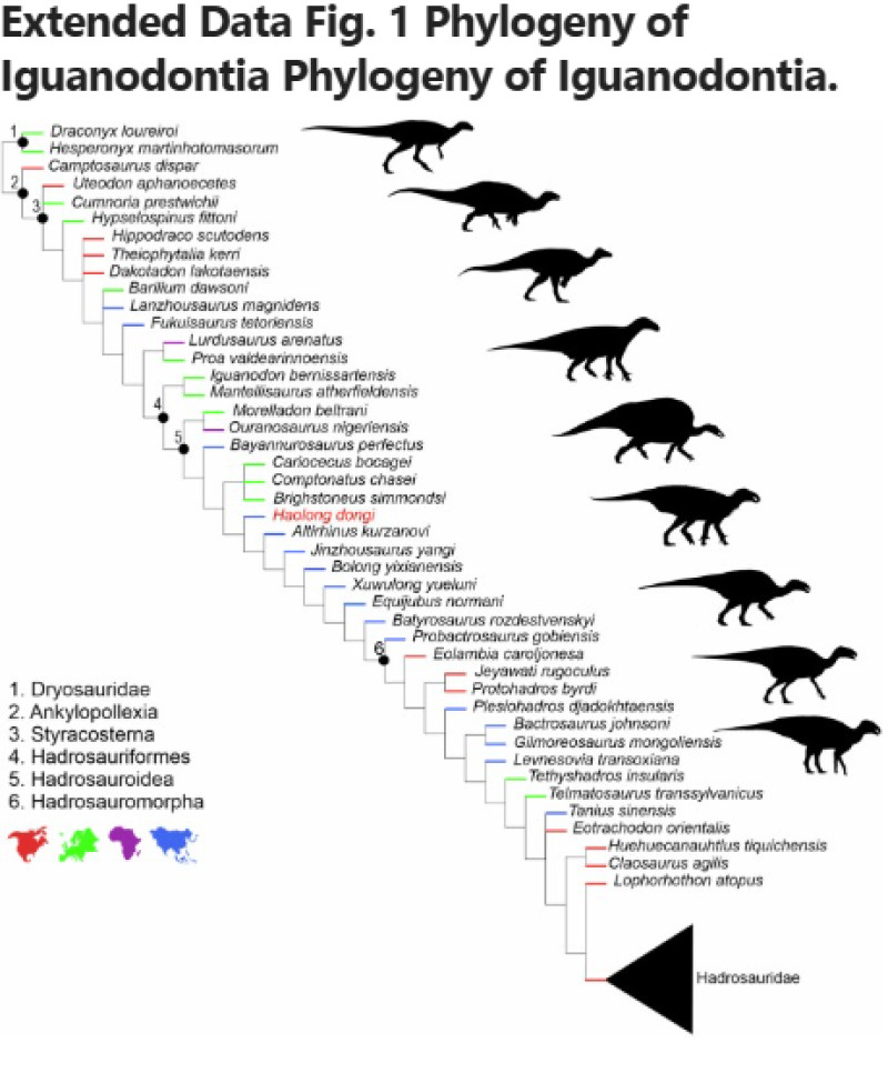 O nouă specie de dinozaur cu țepi descoperită în China surprinde paleontologii 4 Screenshot 2026-02-10 202313