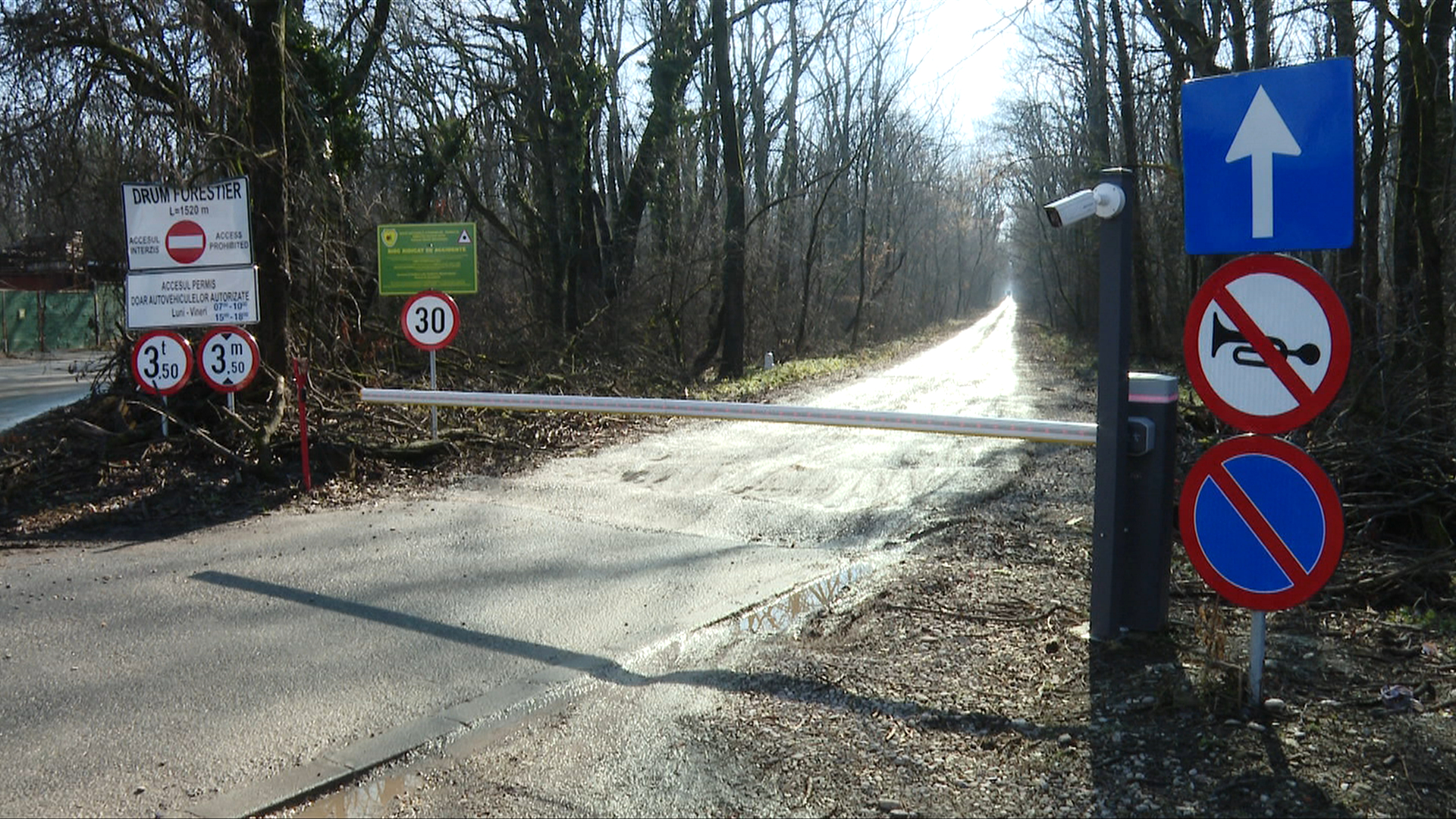 Drum ilegal în Pădurea Băneasa. Mii de bucureșteni din Sectorul 1 riscă să piardă o rută vitală către casă