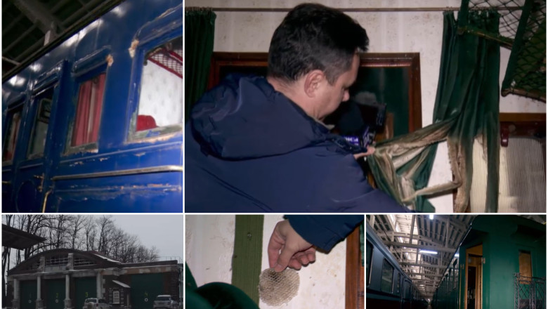 Trenul regal, adăpost pentru pisici maidaneze