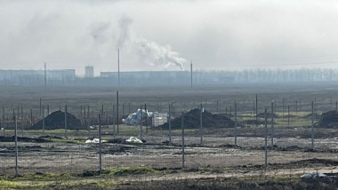 photo-collage.png (63)