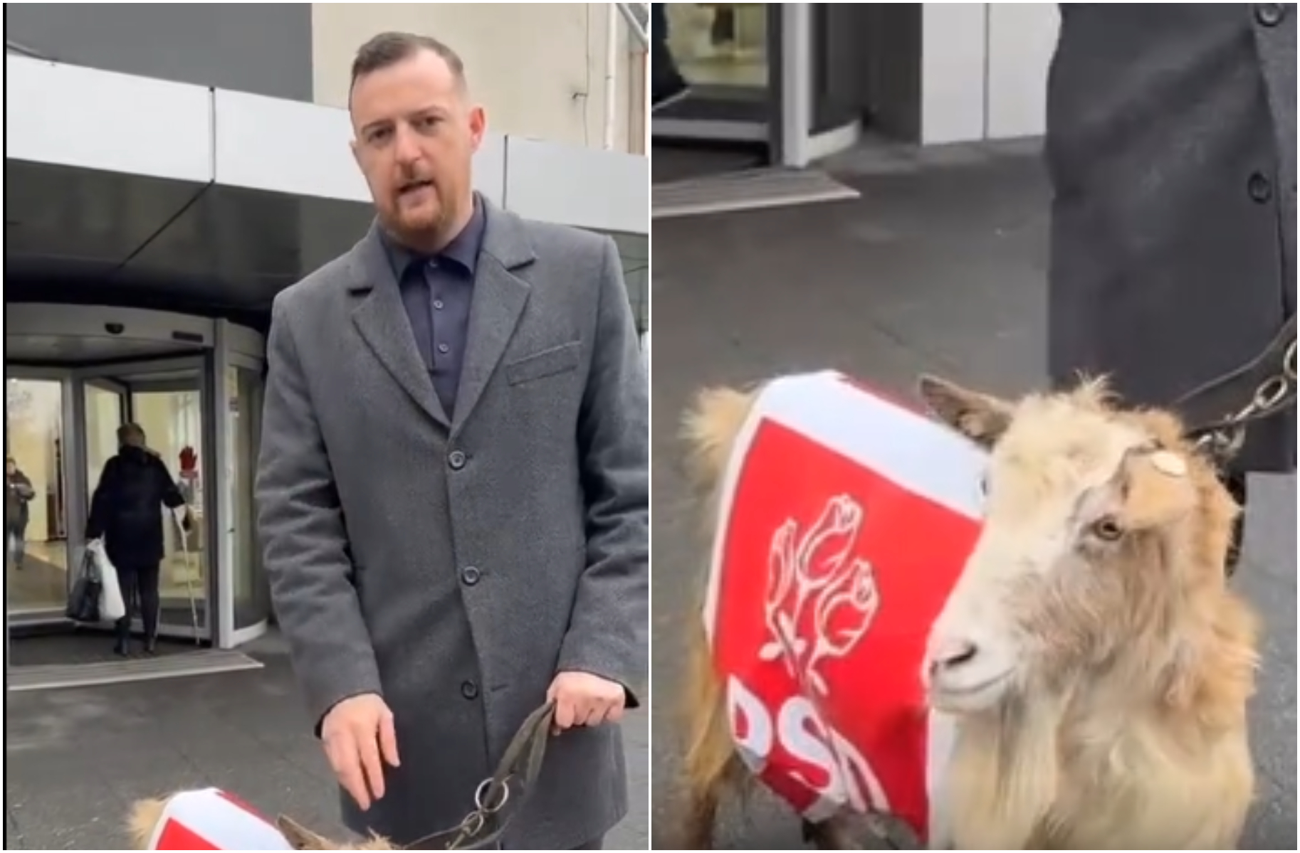 Un deputat AUR a ieșit la protest cu o capră îmbrăcată în sigla PSD: „E un simbol.” Reacția internauților: „Sunteți penibil!”