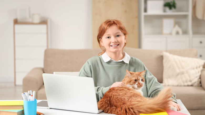 Redhead teenage girl with cute cat studying at home