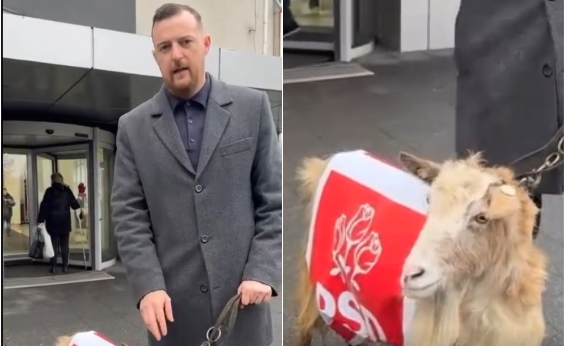 Un deputat AUR a ieșit la protest cu o capră îmbrăcată în sigla PSD: „E un simbol.” Reacția internauților: „Sunteți penibil!”