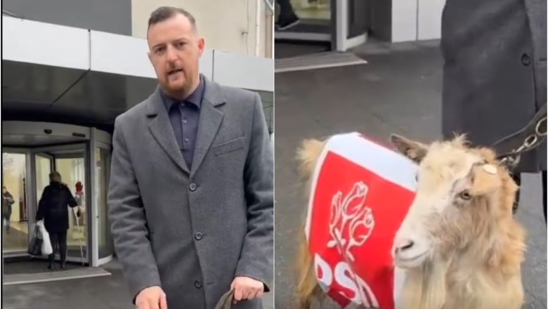 deputat aur cu o capra la protest