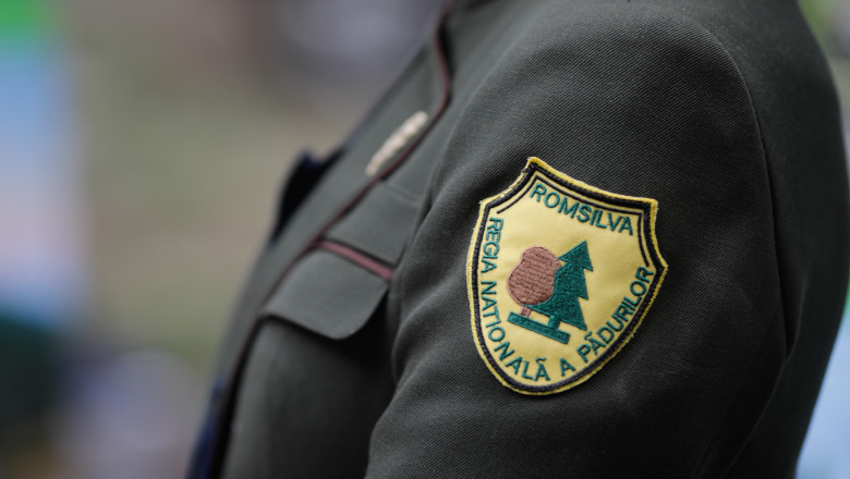 Când speră Diana Buzoianu să fie adoptată reforma Romsilva. „Am ajuns într-un punct în care toate partidele suntem aliniate”