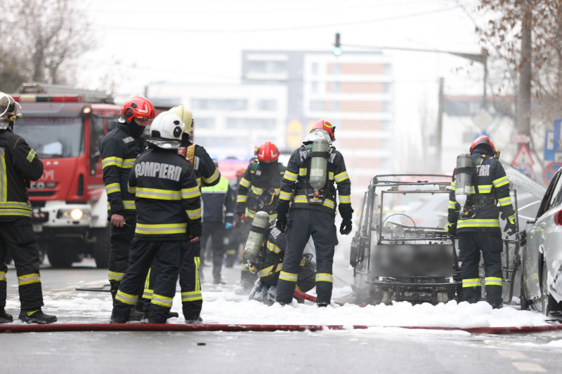 ID333752_INQUAM_Photos_Cosmin_Enache (1)