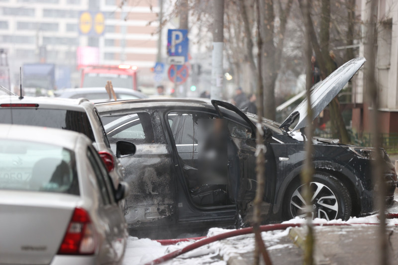 ID333753_INQUAM_Photos_Cosmin_Enache (1)