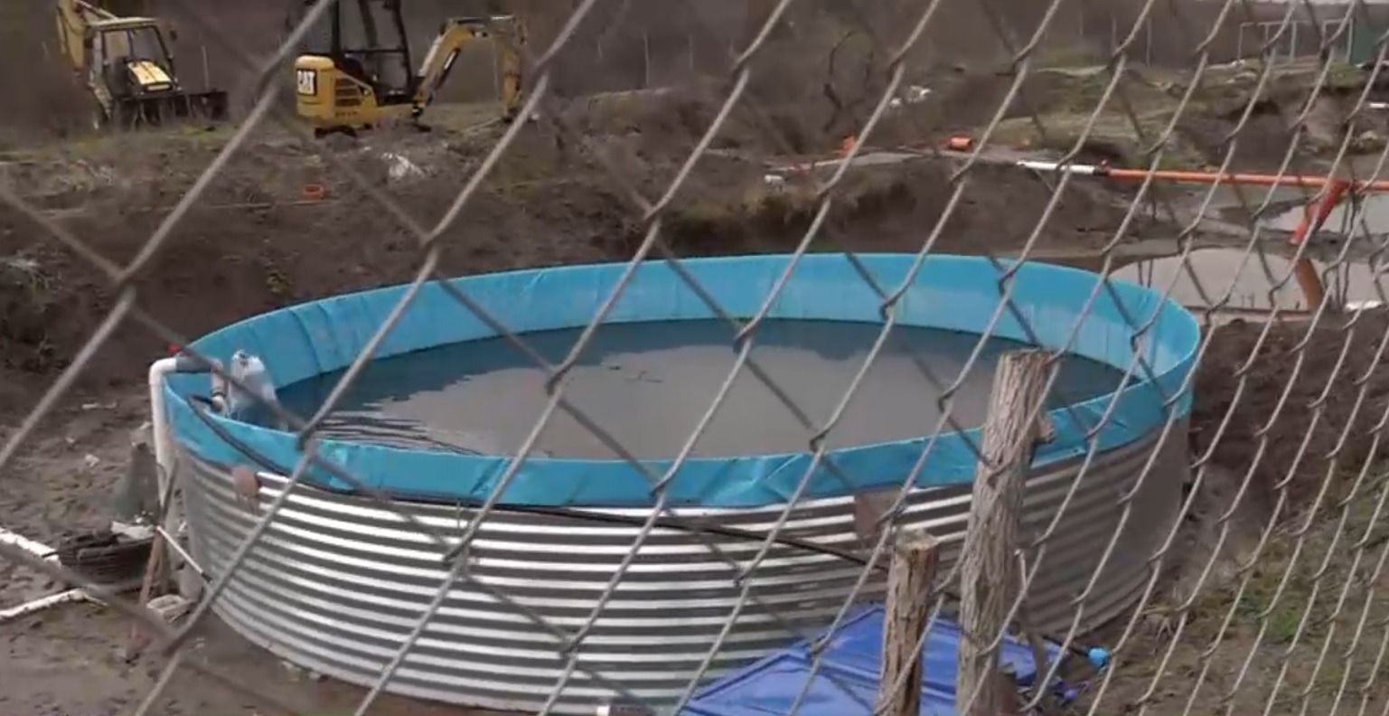 Un preot din Dolj a redirecționat apele unui pârâu și și-a făcut ilegal o păstrăvărie. Spune că nu știa că are nevoie de autorizații