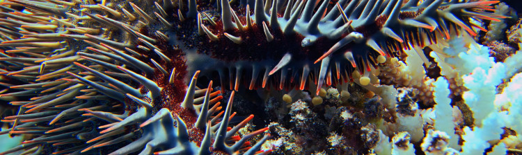 Orașul de corali | ep. 2