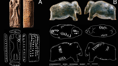 pnas.2520385123fig01