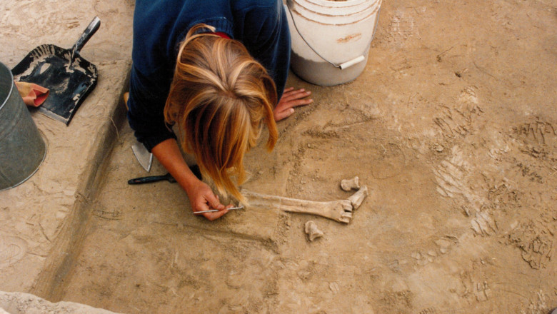 photo-collage.png (73)