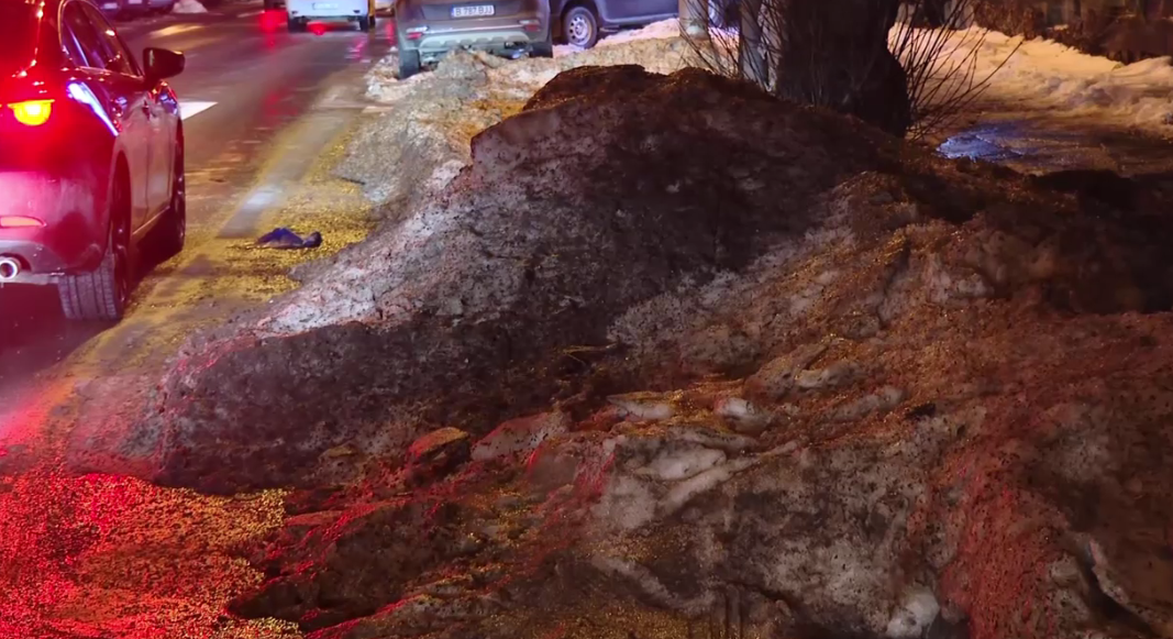 „Asta ajunge în plămânii noștri”. Diana Buzoianu spune că zăpada neagră de pe străzi este „simbolul poluării din București”