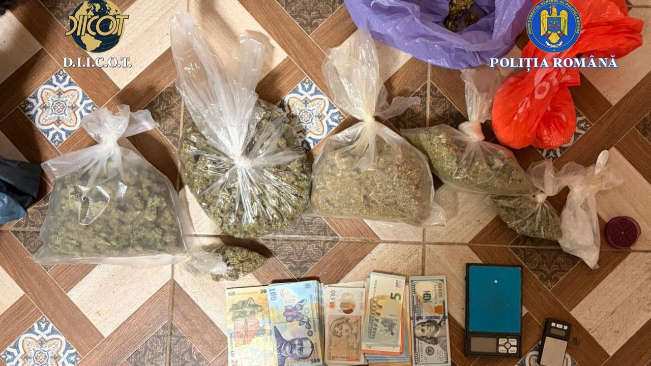 Patru persoane reţinute în ancheta drogurilor din cazul crimei de la Cenei. Ce au descoperit polițiștii în timpul perchezițiilor