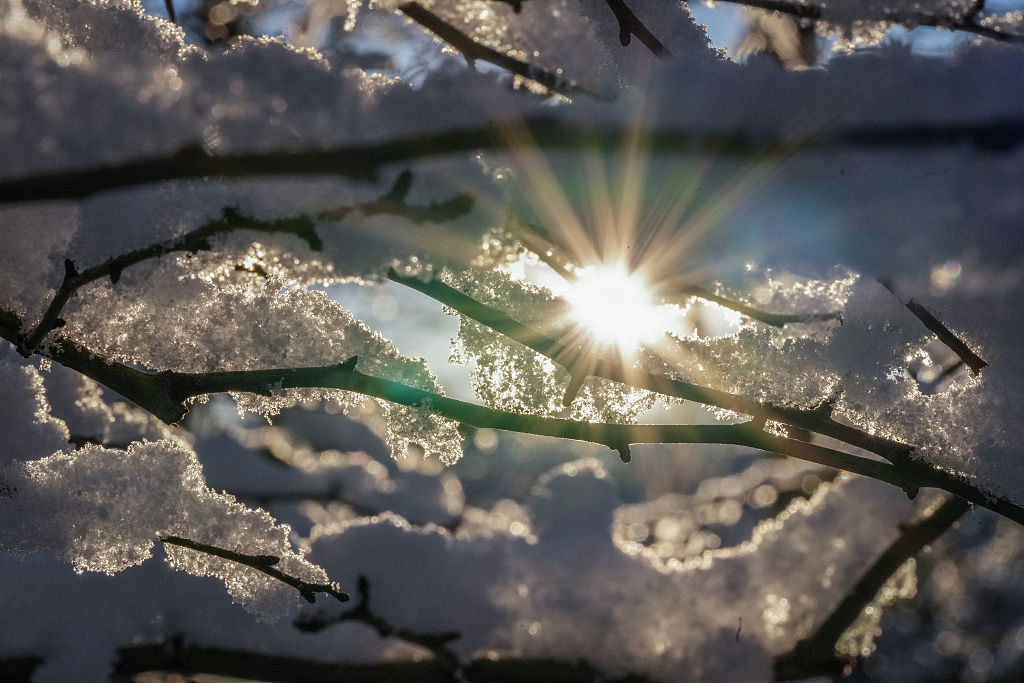 ANM: Urmează o lună mai caldă decât normalul perioadei, dar cu un episod de ninsoare la București în aceste zile