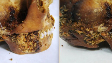 craniul femeii Pazyryk