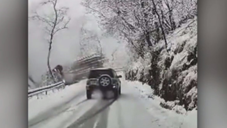 un camion cu lemne cade in prapastie
