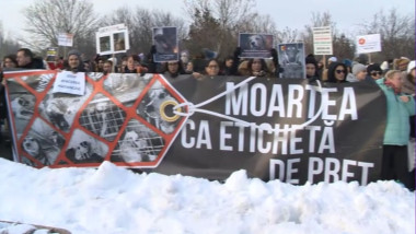 protest fata de cruzime impotriva animalelor