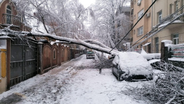 A tree fell across the street and crushed the house and car parked near due to heavy snow storm in Belgrade, Serbia