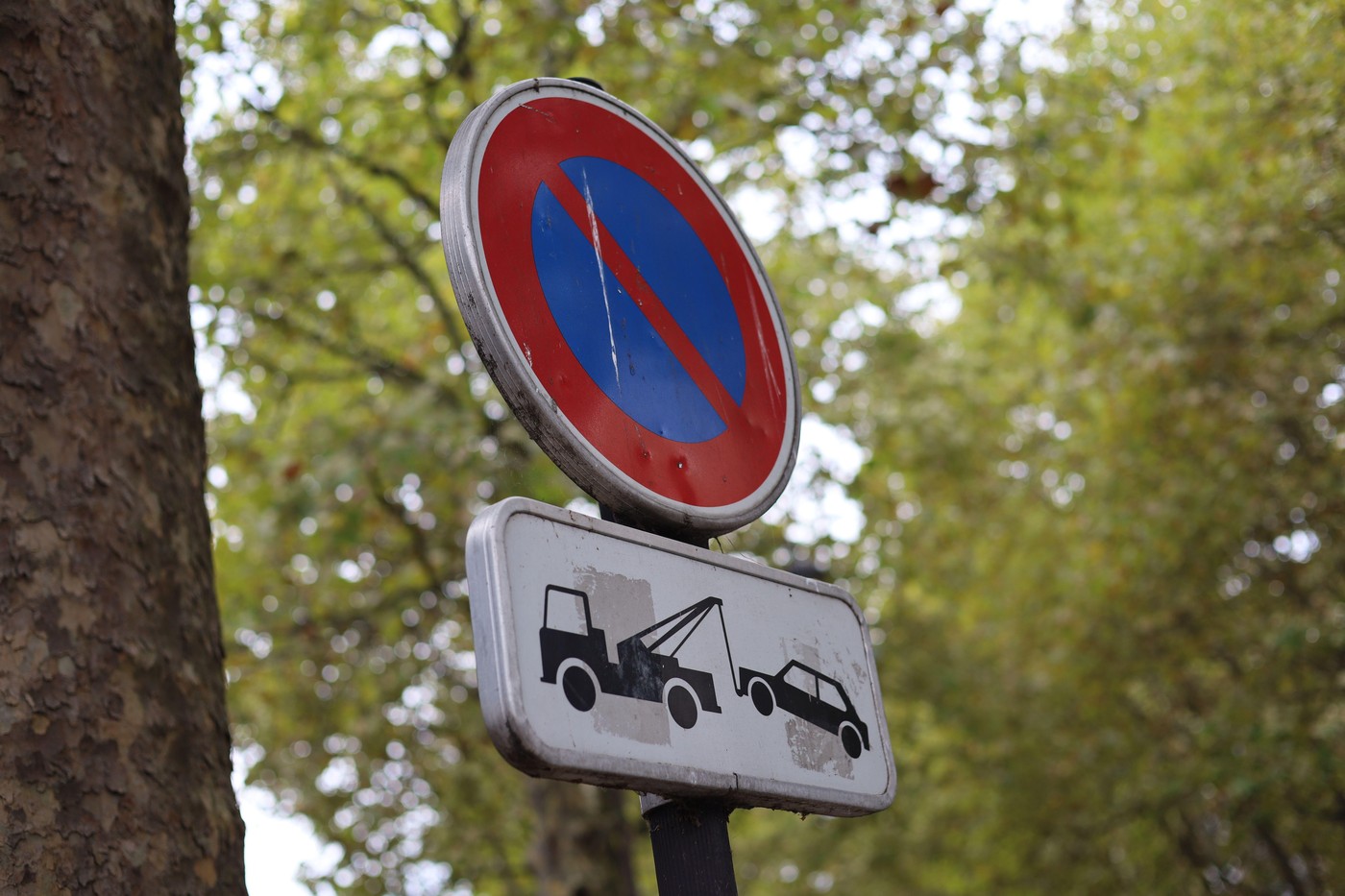 Un pensionar din Franța primea câte 40 de amenzi de parcare pe zi, pentru 3.000 de mașini pe care nu le-a cumpărat