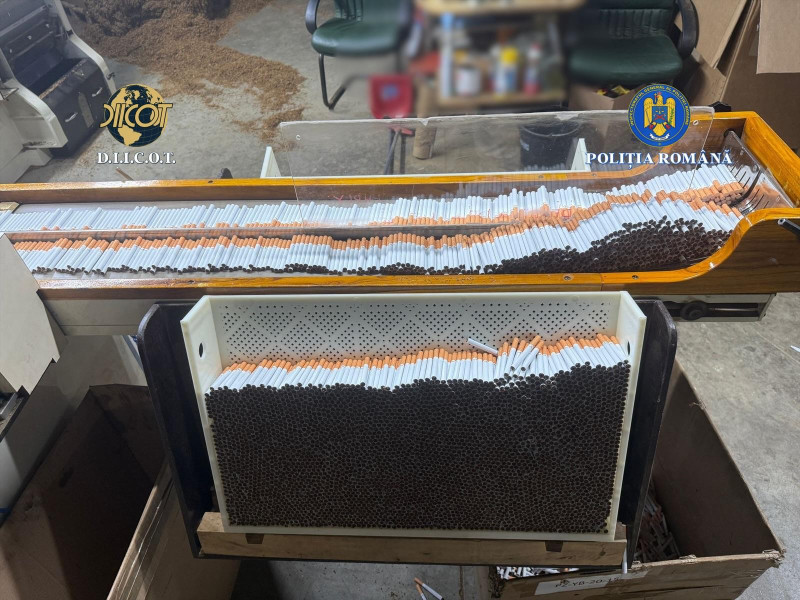 fabrica ilegala tigari tigarete