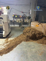 fabrica ilegala tigari tigarete