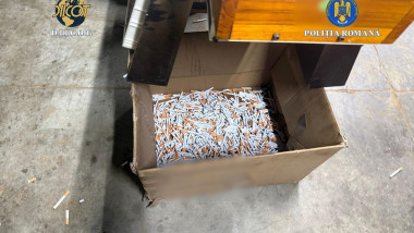 fabrica ilegala tigari tigarete