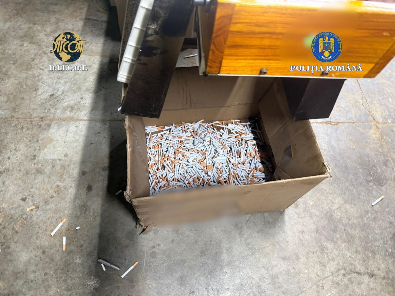 fabrica ilegala tigari tigarete