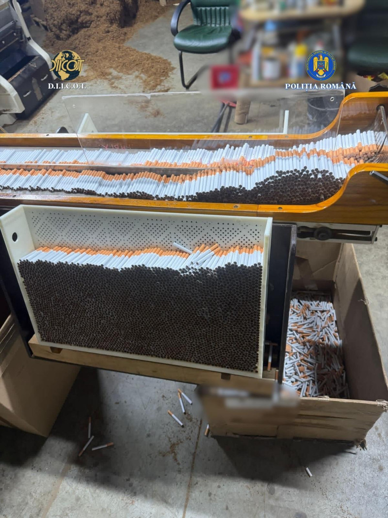 fabrica ilegala tigari tigarete