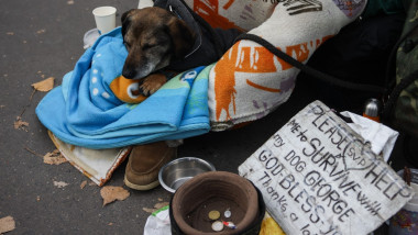 profimedia-1053203591