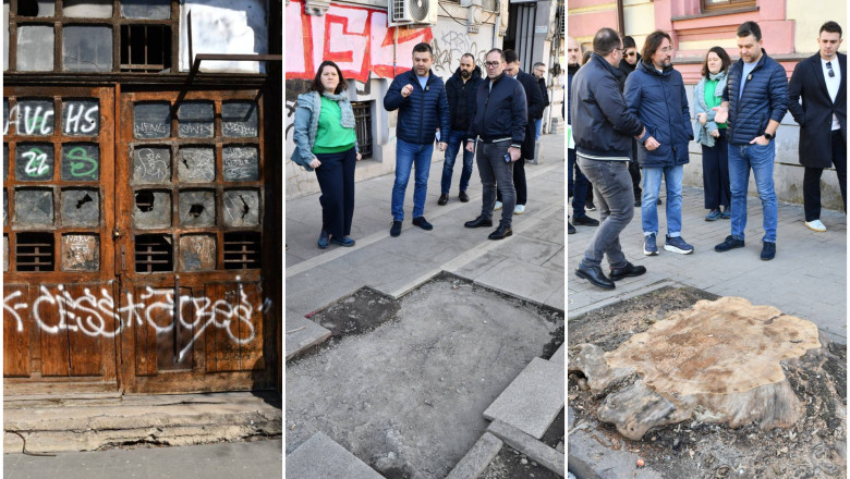 ciucu bucuresti