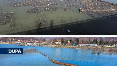 Screenshot 2026-03-08 120349