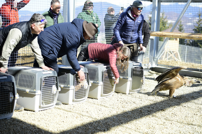 Adrian Aldea (manager reintroducere specii)_Ion Parnuta (primar Rucar)_ Barbara si Christoph Promberger Fundatia Conservation Carpathia