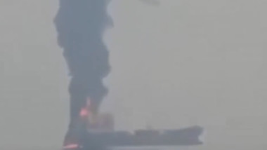 Screenshot 2026-03-01 at 13.42.53