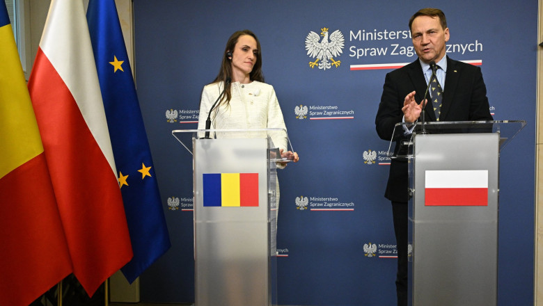 Oana Țoiu, Radosław Sikorski