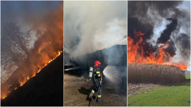 photo-collage.png (95)