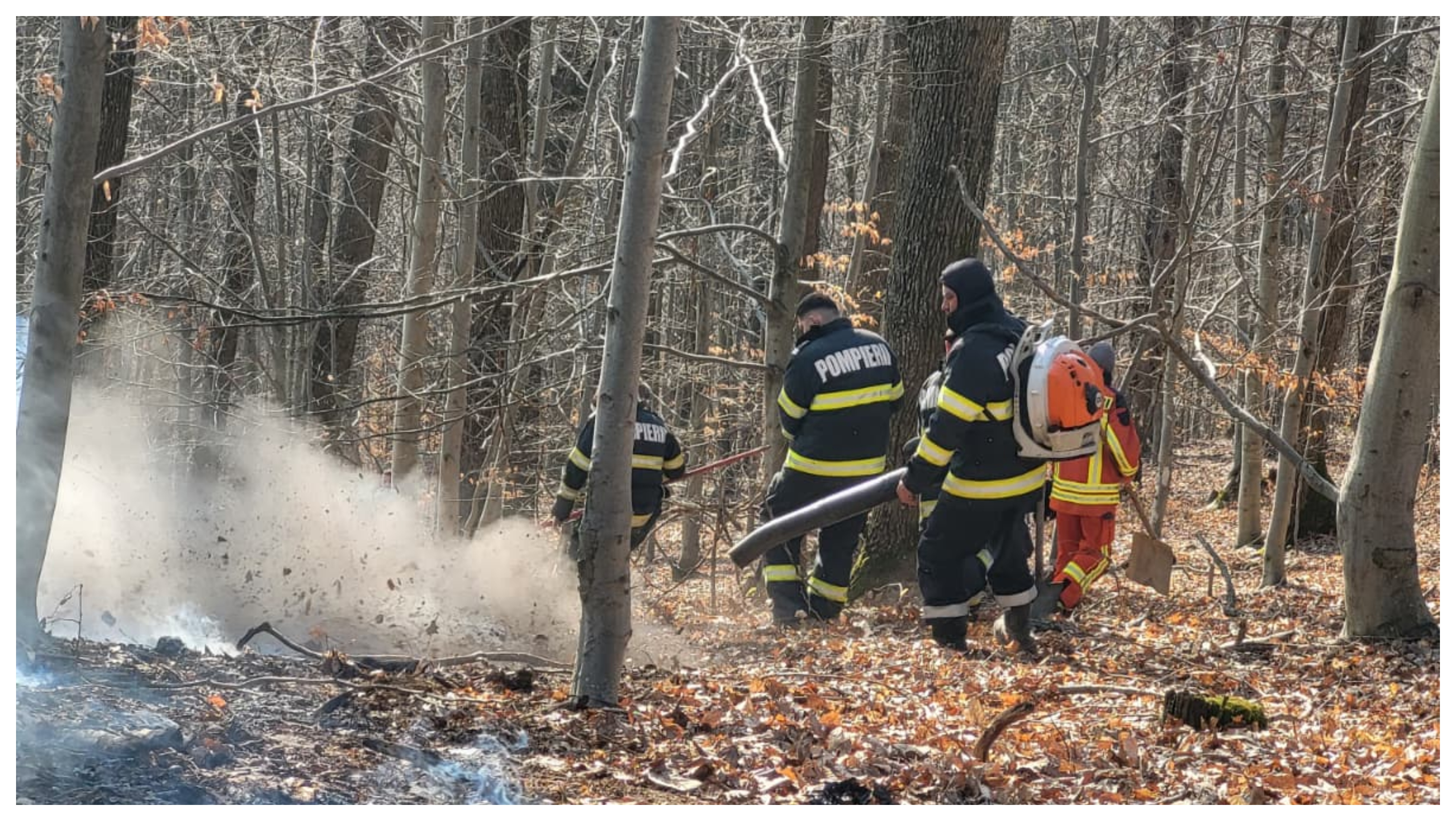 Incendii de vegetație în Maramureș și Satu Mare: pompierii continuă monitorizarea și stingerea focarelor