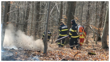 pompieri incendii vegetatie