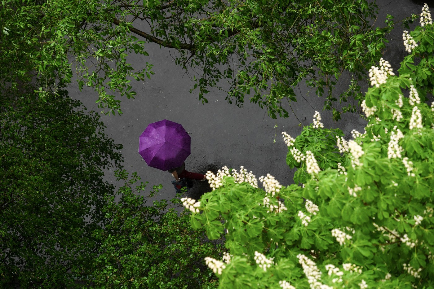 Prognoza meteo pentru următoarele două săptămâni, în fiecare regiune a țării. Când și unde sunt așteptate ploi