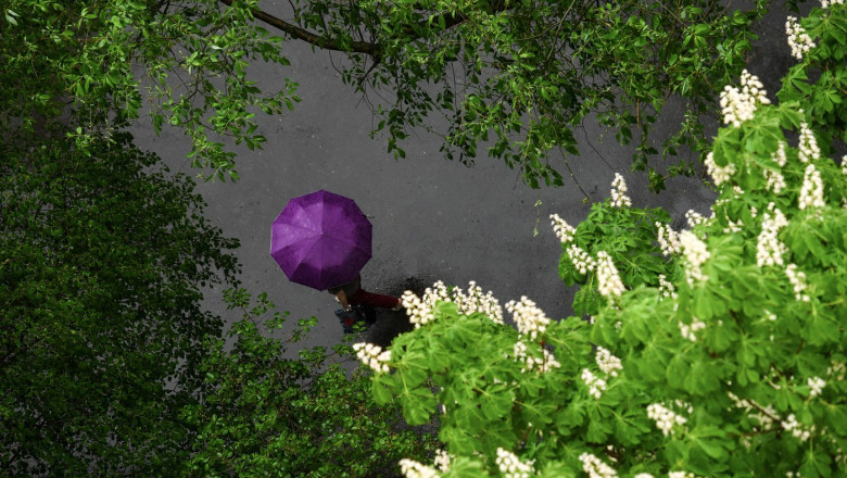 o femeie cu umbrela printre copaci