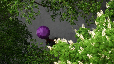 o femeie cu umbrela printre copaci