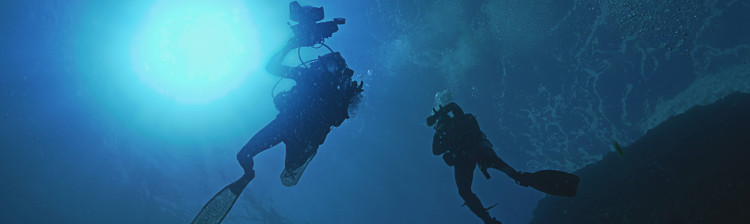 Autostrada rechinilor | ep. 4