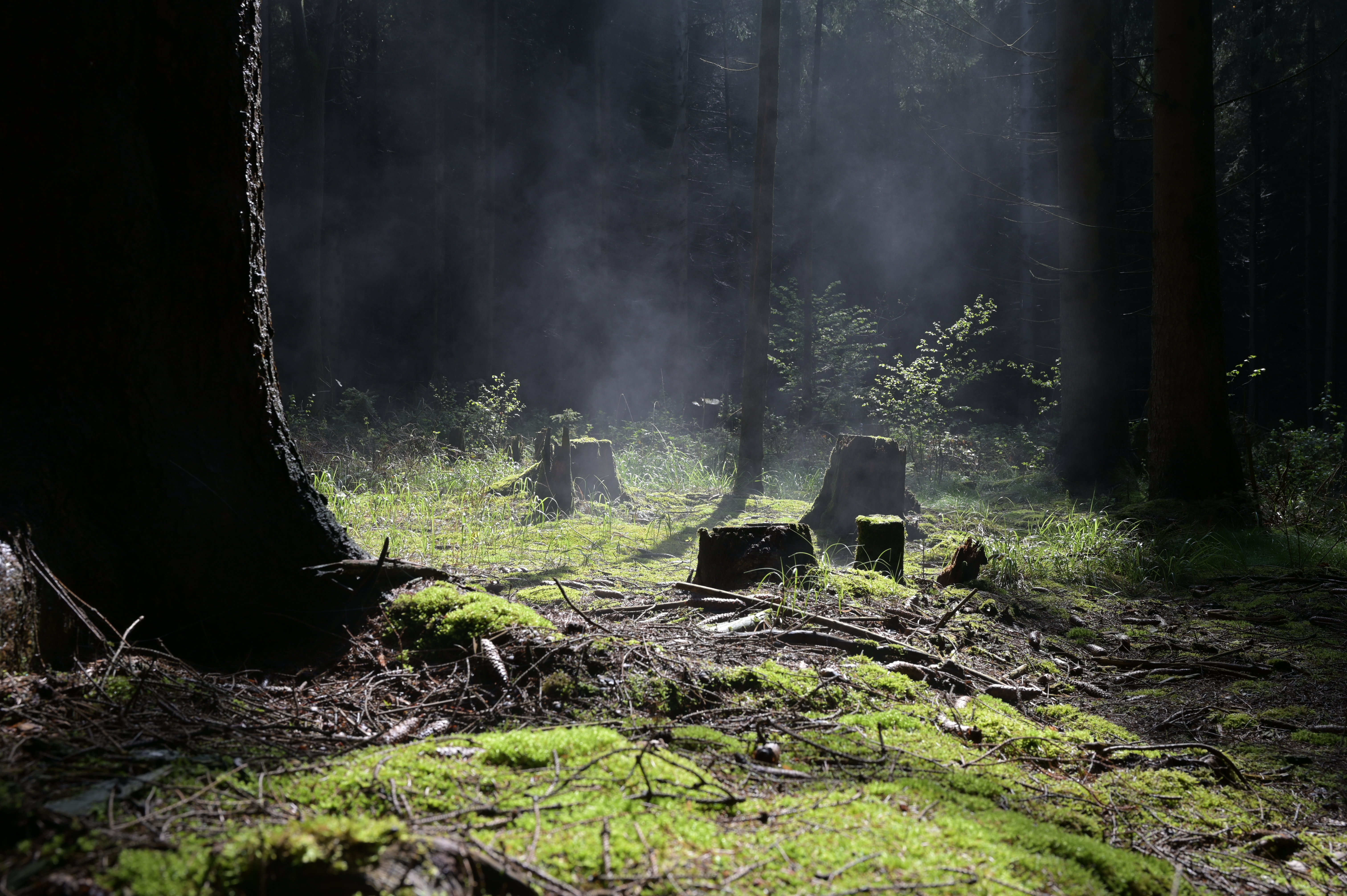 Un teritoriu scufundat din Europa era locuibil în era glaciară. Cercetătorii au găsit dovezi de viață