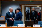 original_euco_(5)