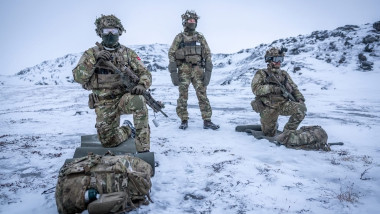 Arctic Enduranc Joint Military Exercise, Greenland - 19 Jan 2026