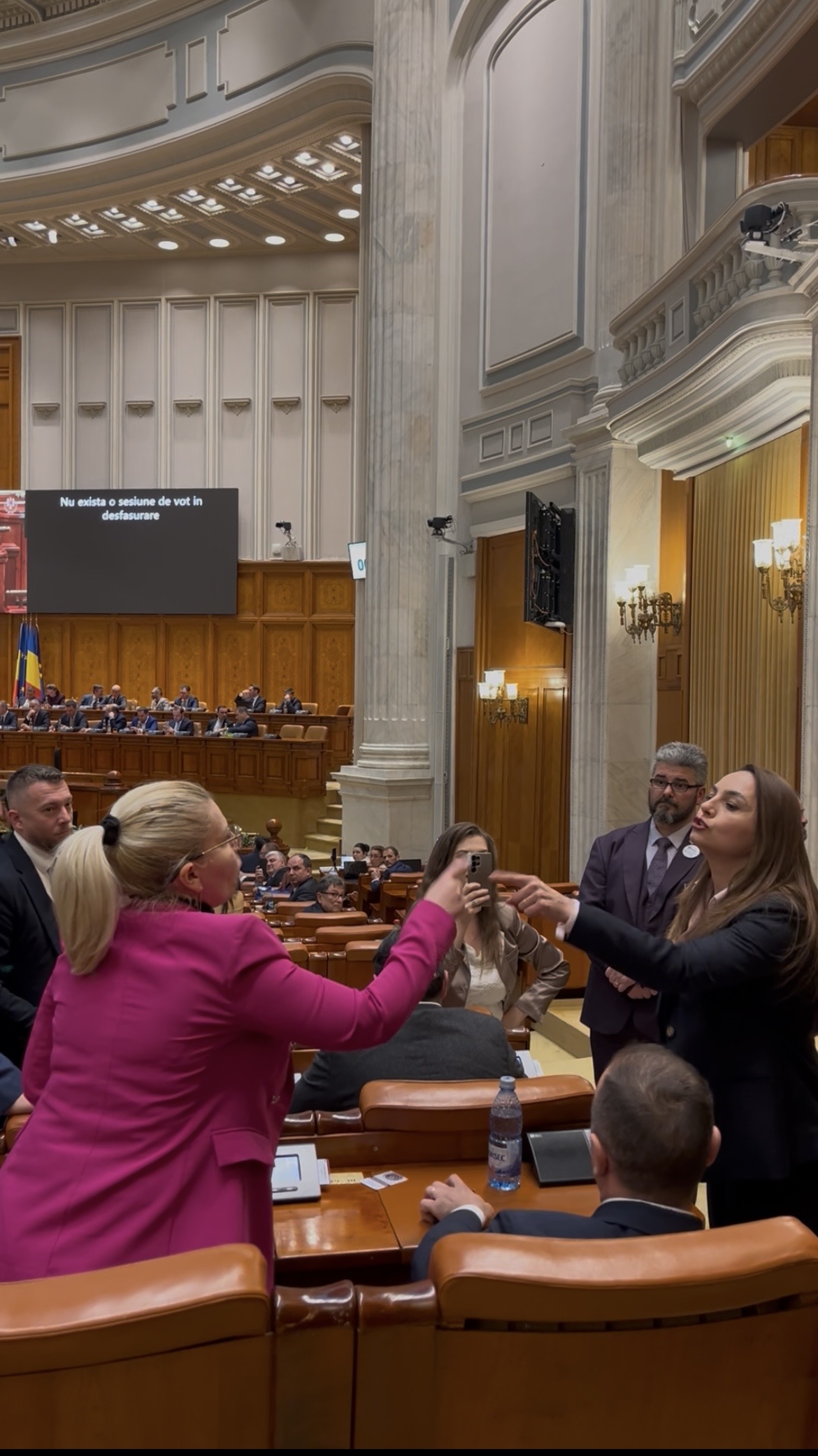 „Stai în banca ta!”. Anamaria Gavrilă țipă la o colegă de partid în plenul Parlamentului: „Nu vorbești tu în numele POT”