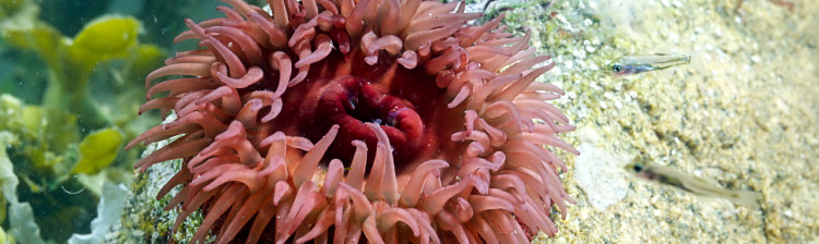 13 ore pentru viață | ep. 1